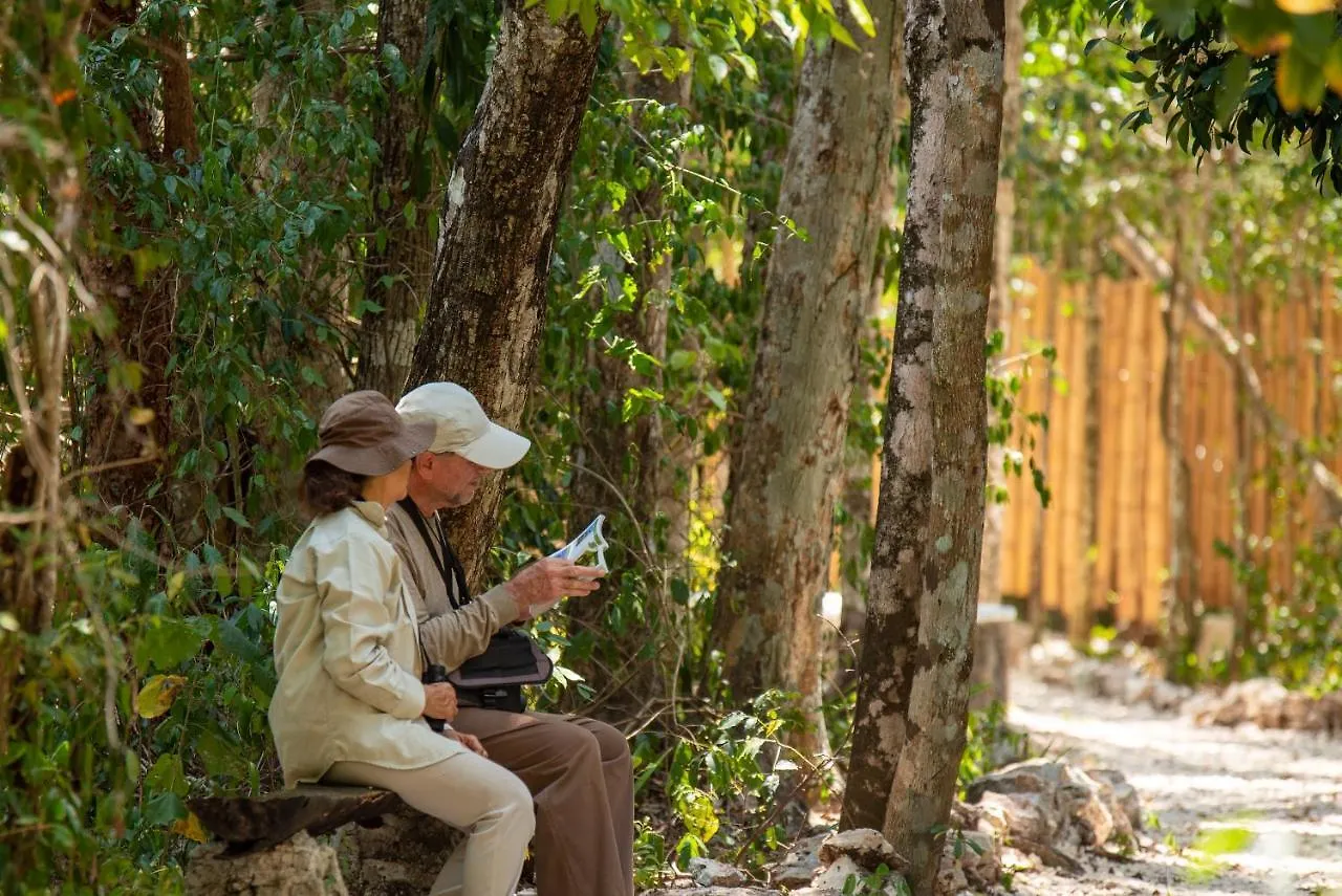 Villa Maya - Glamping - Natural Reserve كوزوميل 0*,