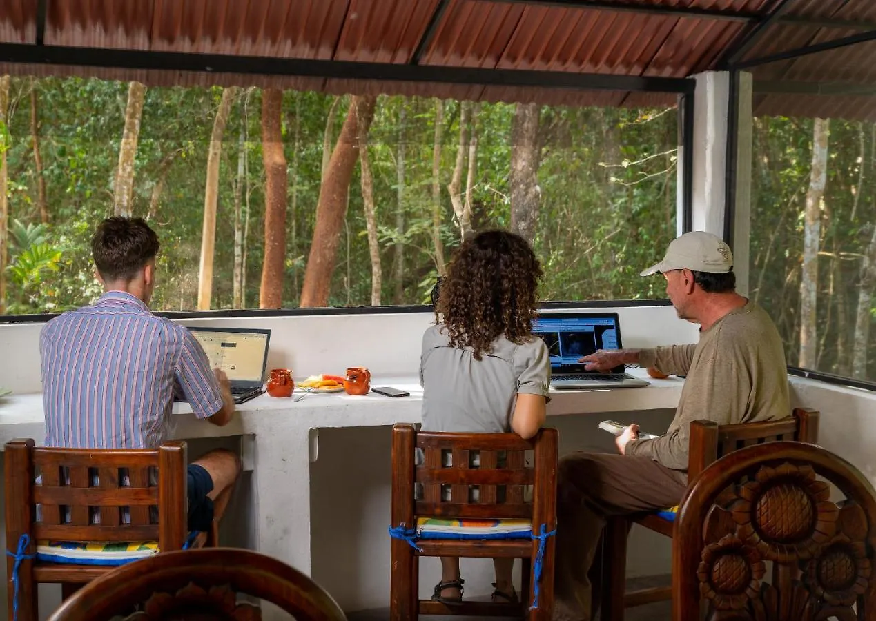 مكان تخييم Villa Maya - Glamping - Natural Reserve كوزوميل المكسيك