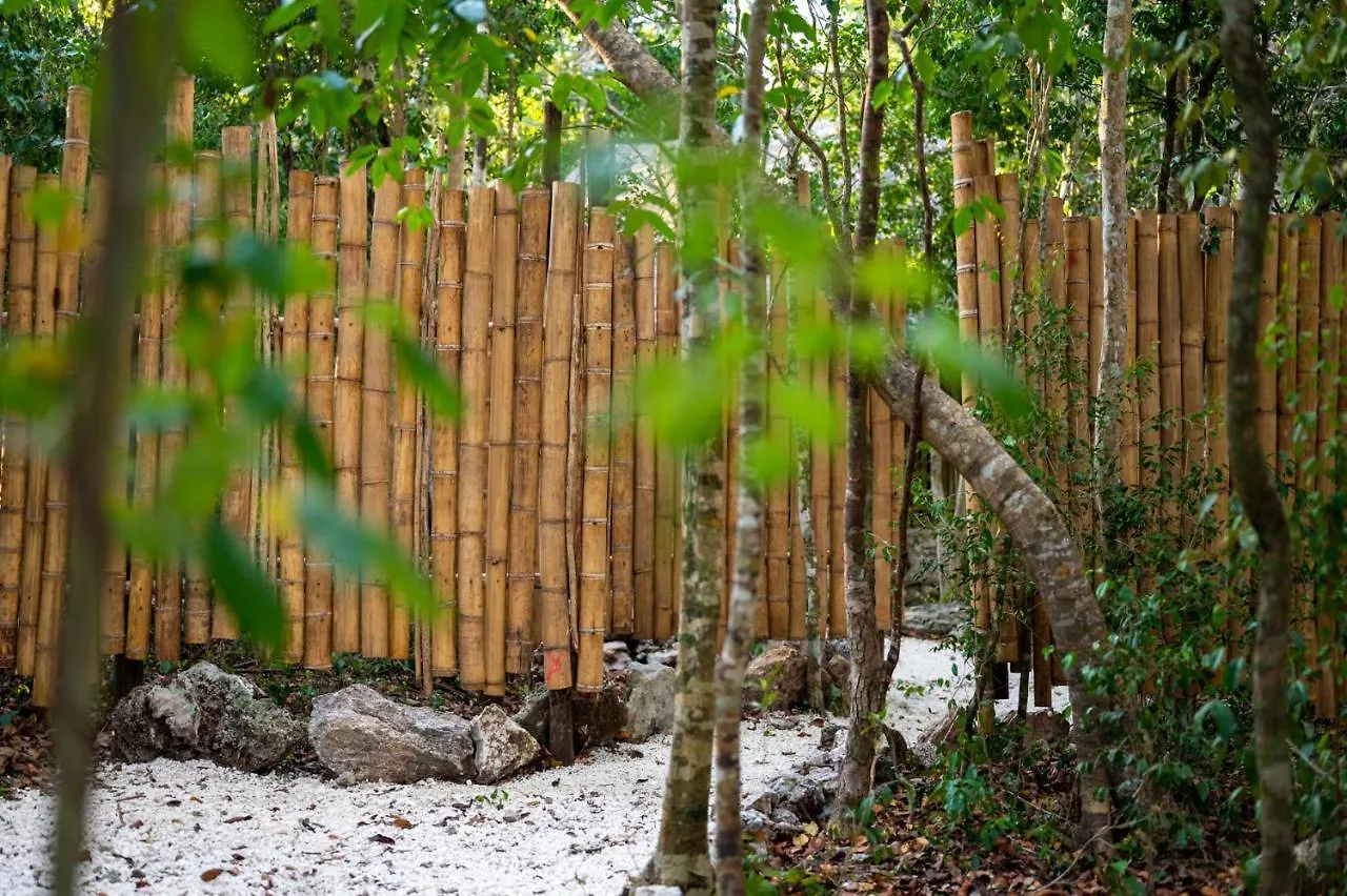 Villa Maya - Glamping - Natural Reserve كوزوميل 0*,