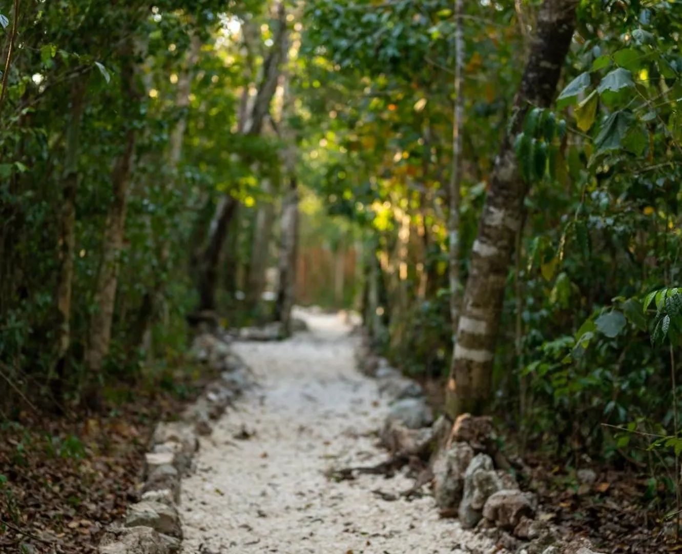 Villa Maya - Glamping - Natural Reserve كوزوميل