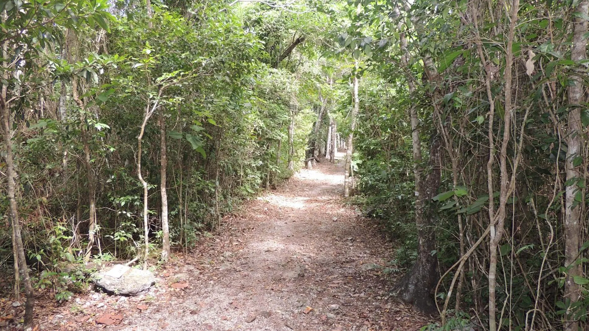 مكان تخييم Villa Maya - Glamping - Natural Reserve كوزوميل المكسيك