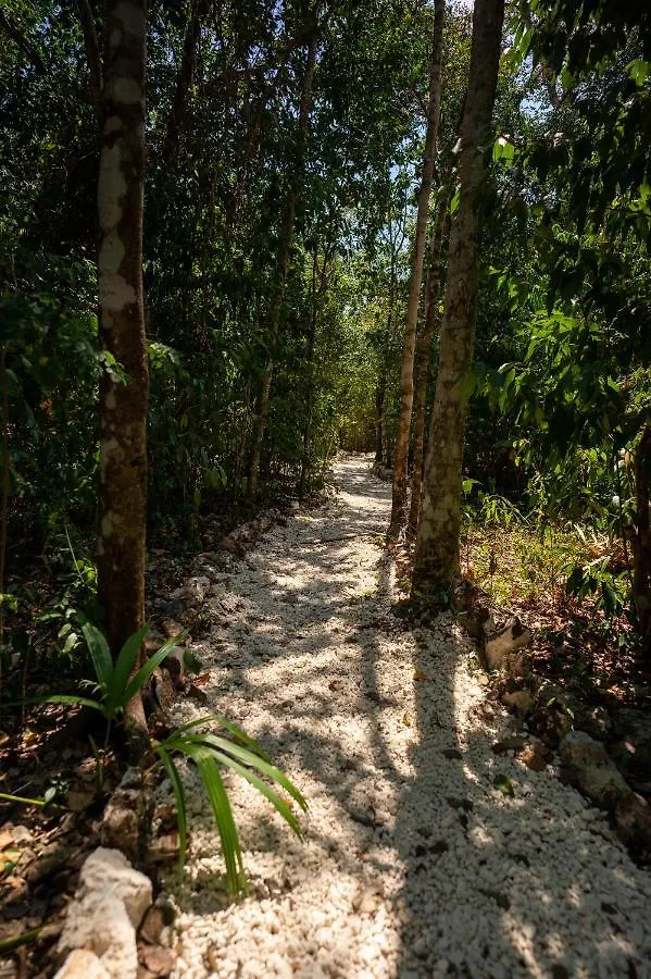 Villa Maya - Glamping - Natural Reserve Cozumel Campsite