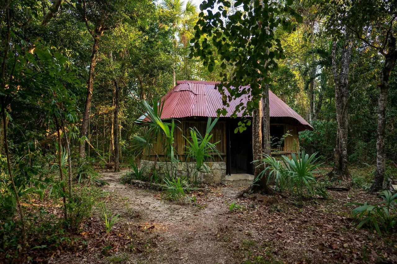 Campsite Villa Maya - Glamping - Natural Reserve Cozumel