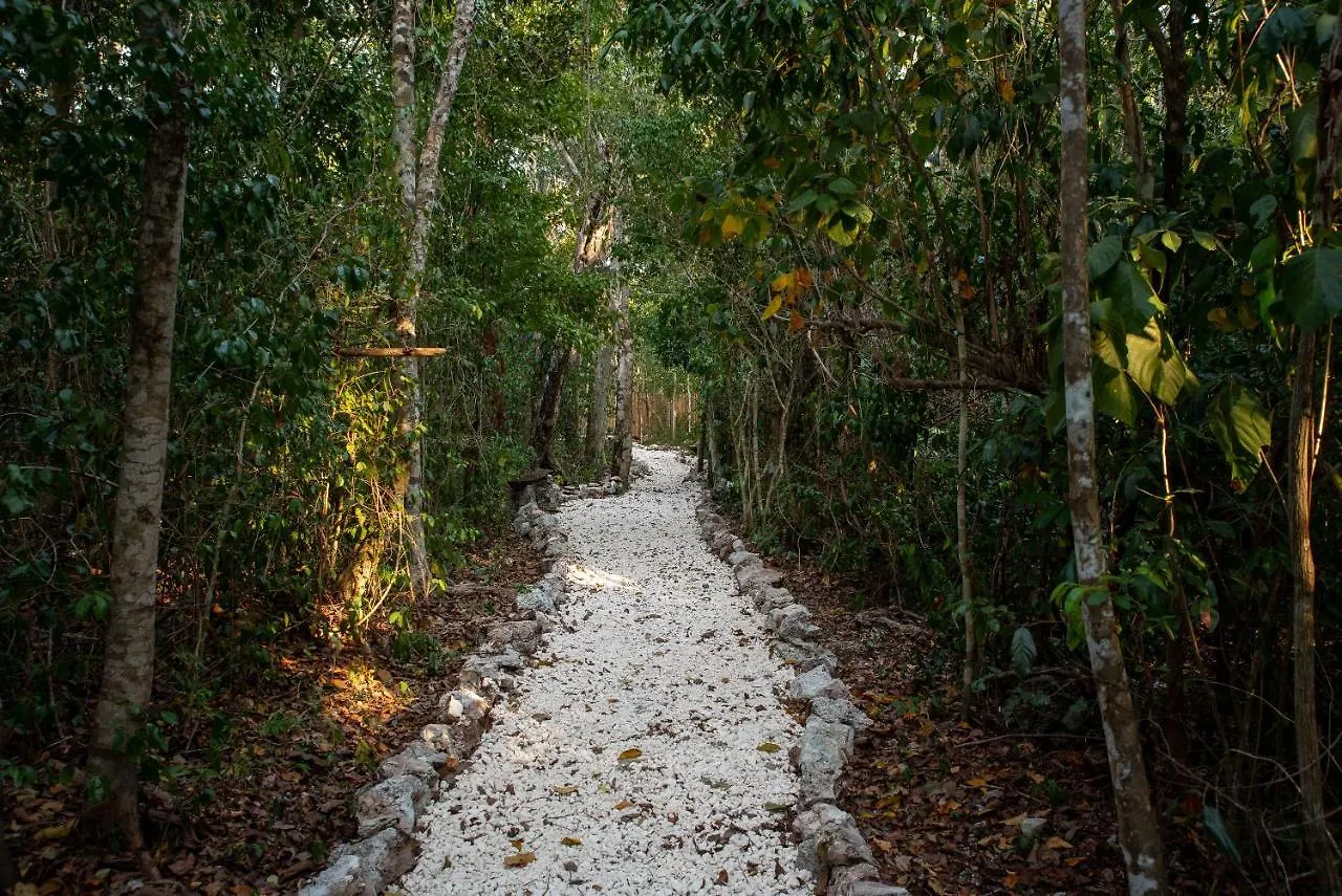 Villa Maya - Glamping - Natural Reserve Cozumel Campsite