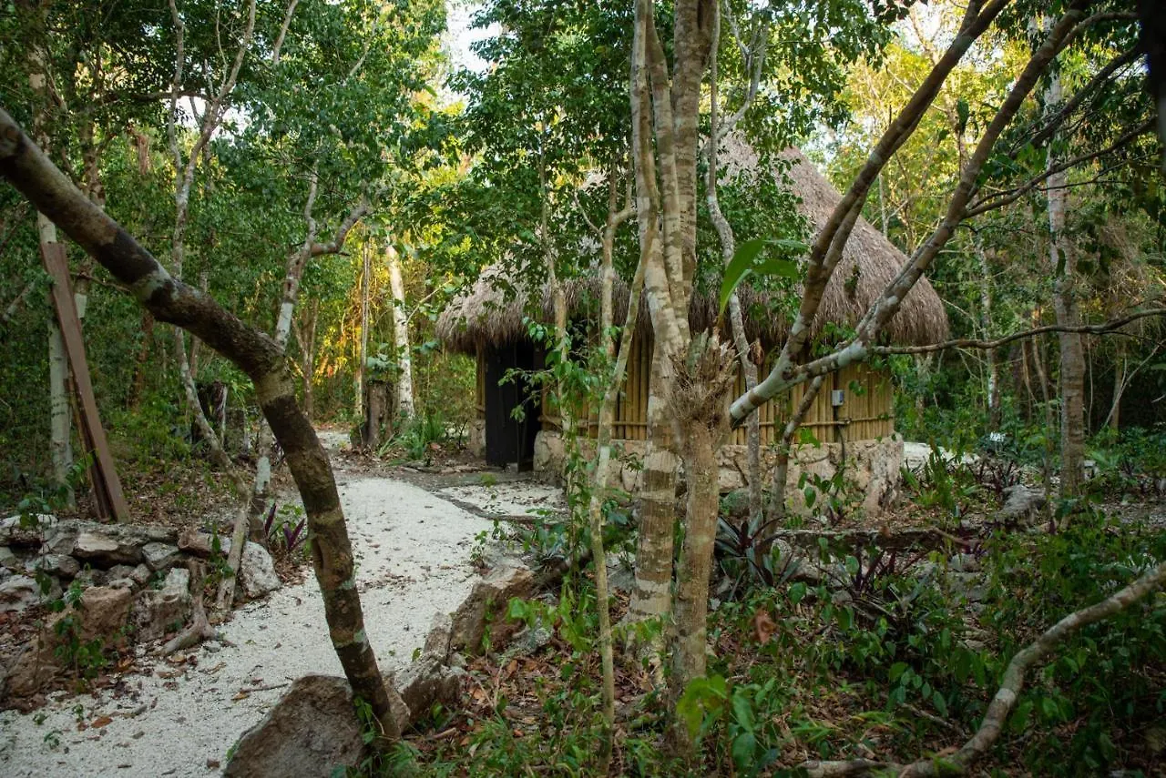 Villa Maya - Glamping - Natural Reserve Cozumel