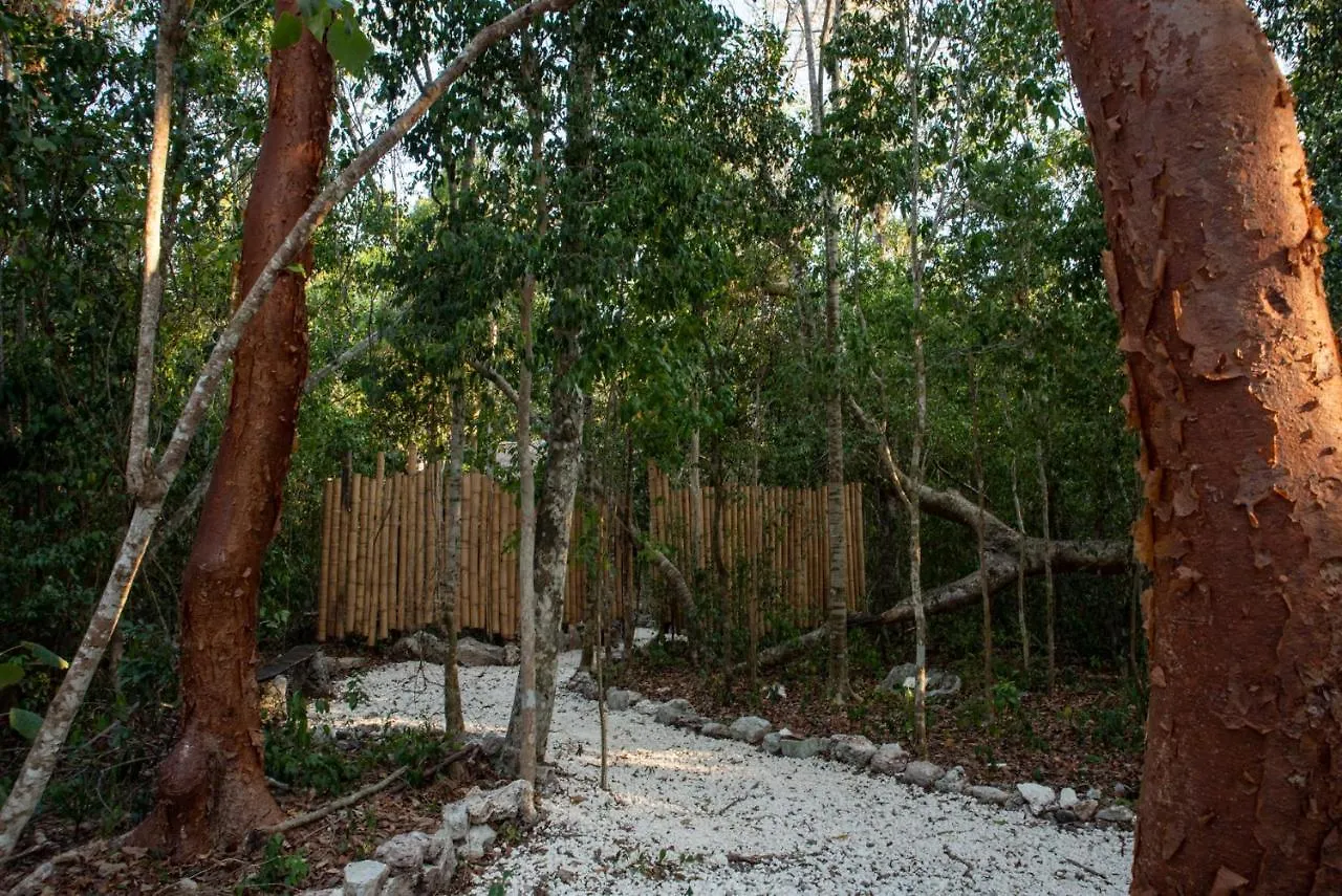 Campsite Villa Maya - Glamping - Natural Reserve Cozumel