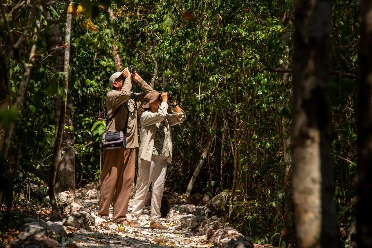 Villa Maya - Glamping - Natural Reserve Cozumel