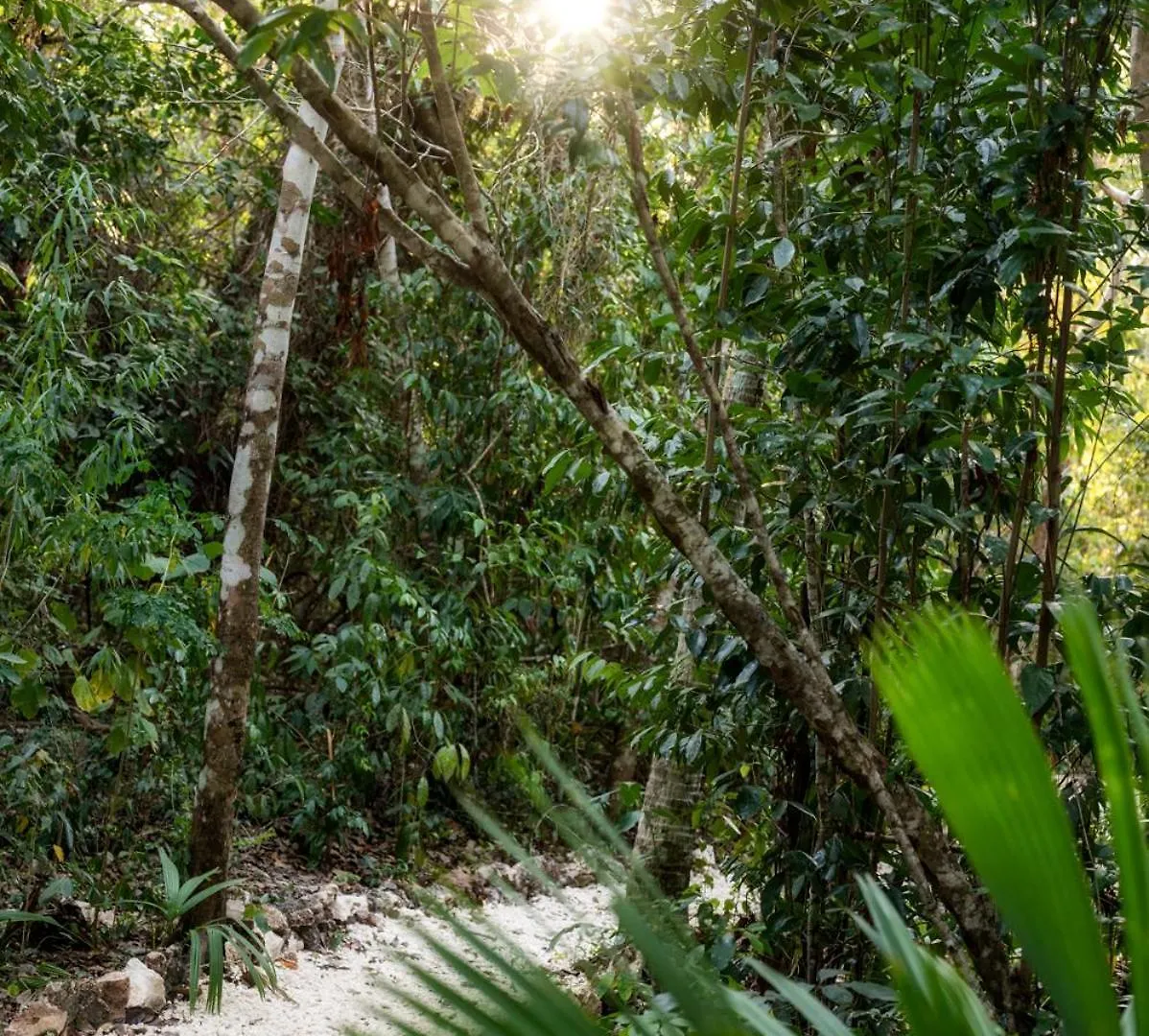 Villa Maya - Glamping - Natural Reserve Cozumel Mexico