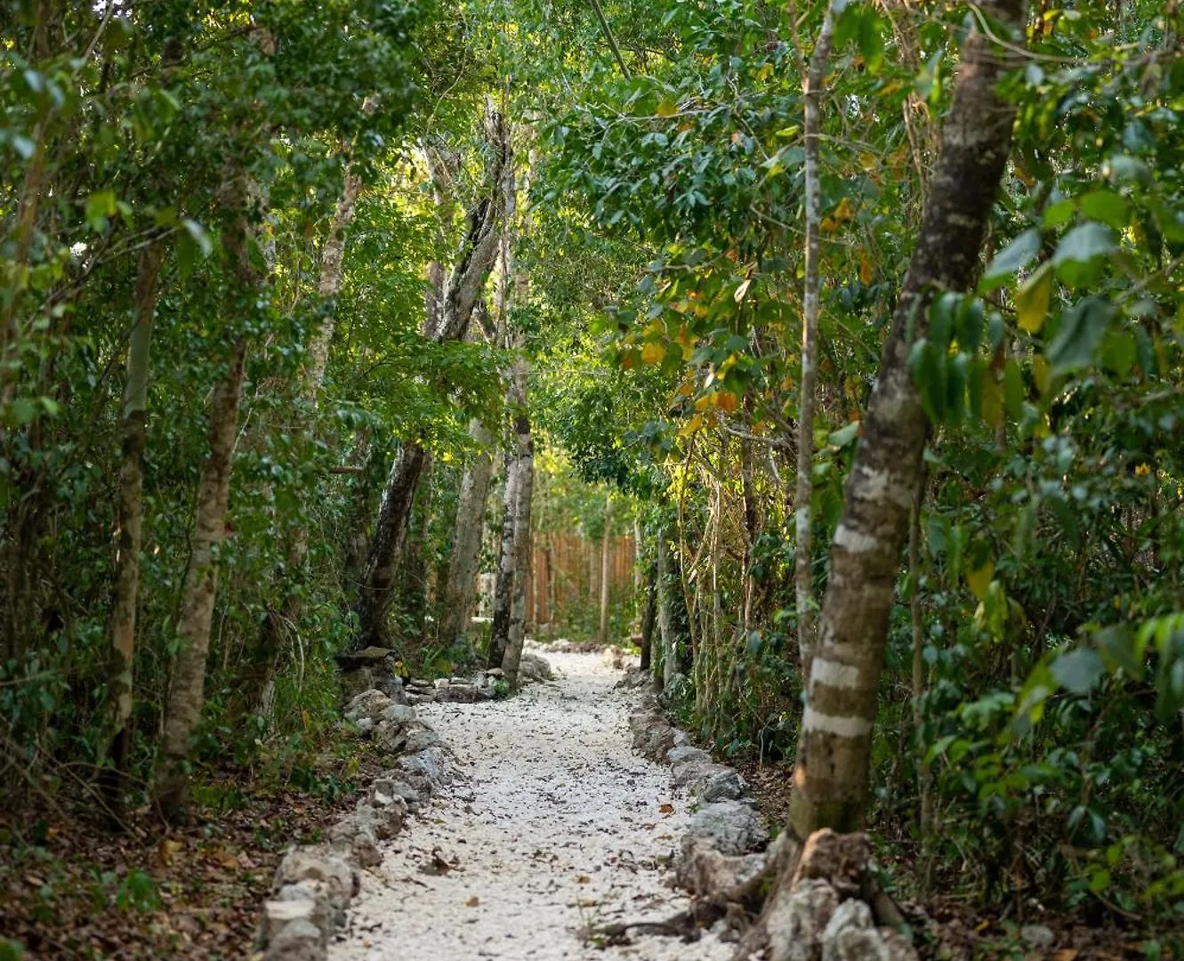 Campsite Villa Maya - Glamping - Natural Reserve Cozumel