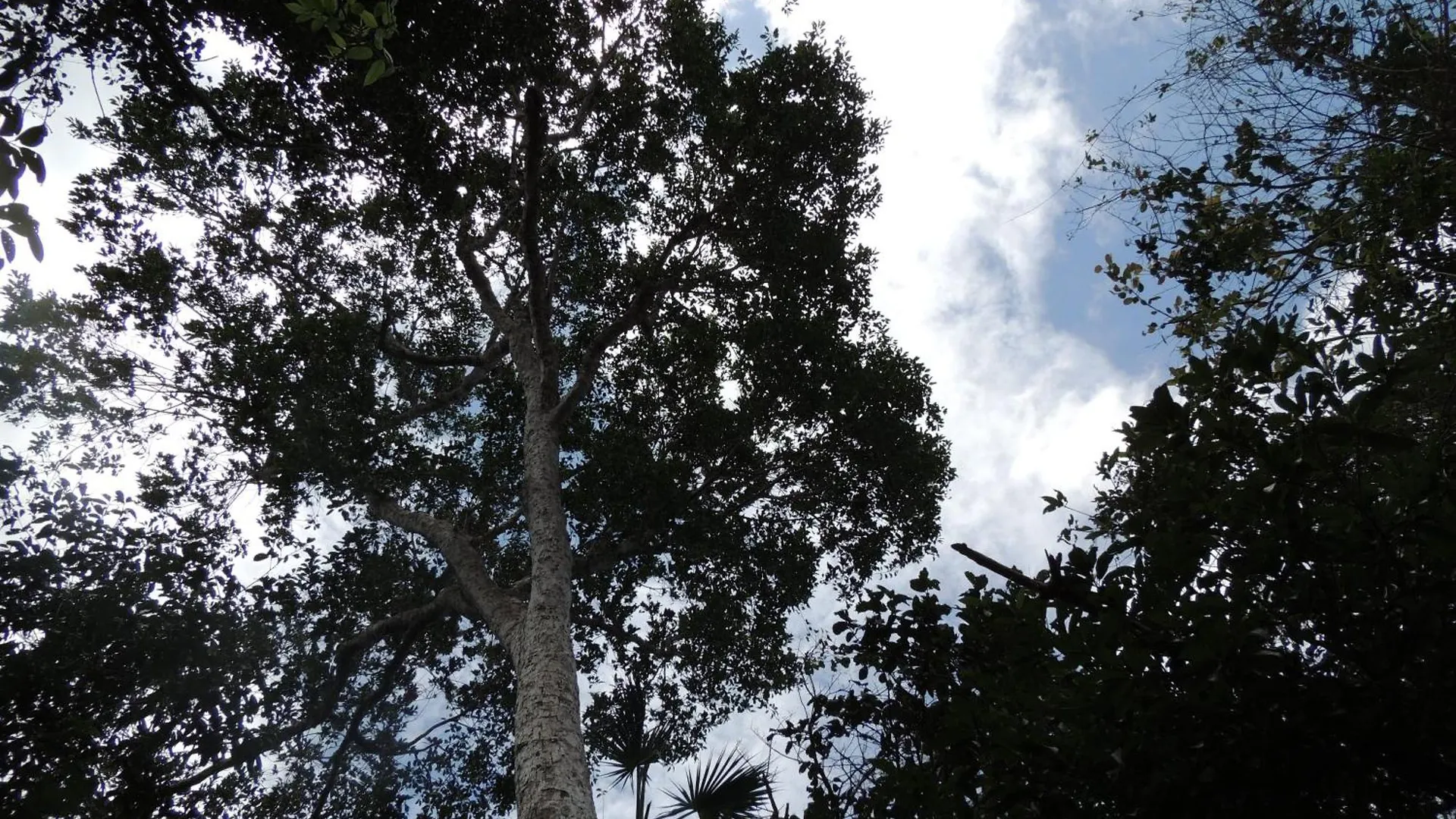 Villa Maya - Glamping - Natural Reserve Cozumel