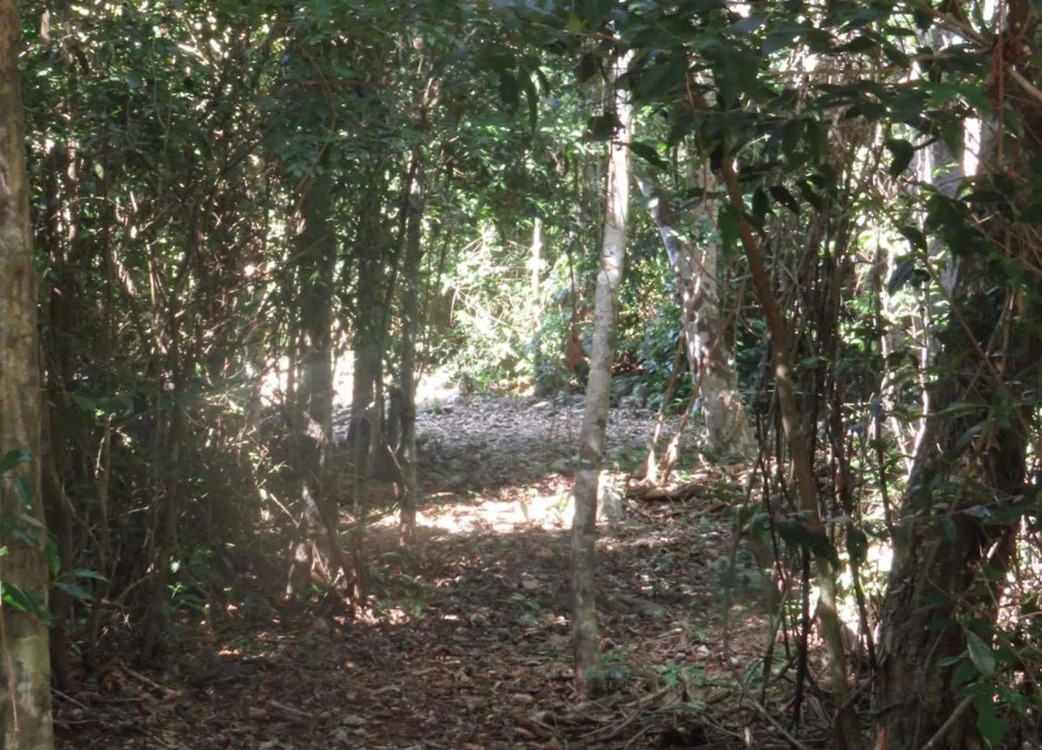 Campsite Villa Maya - Glamping - Natural Reserve Cozumel Mexico